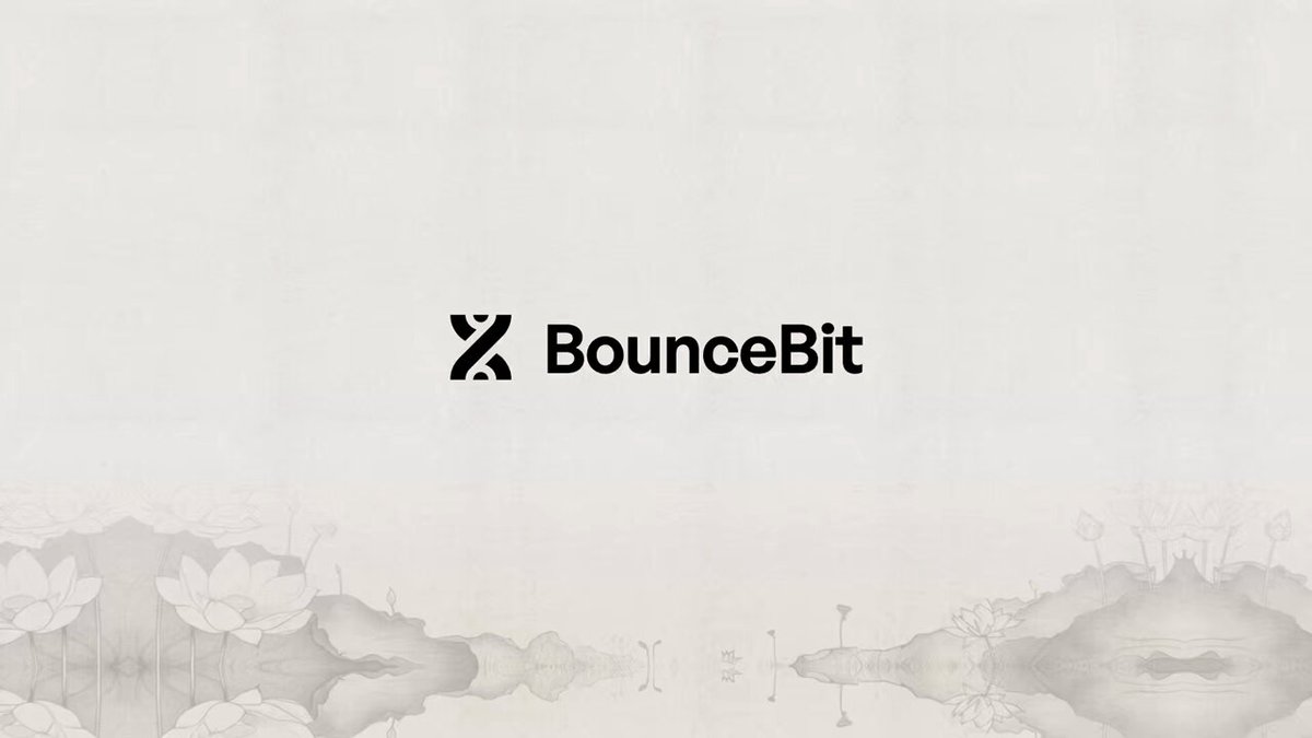 专访BounceBit：V2前瞻，化繁为简