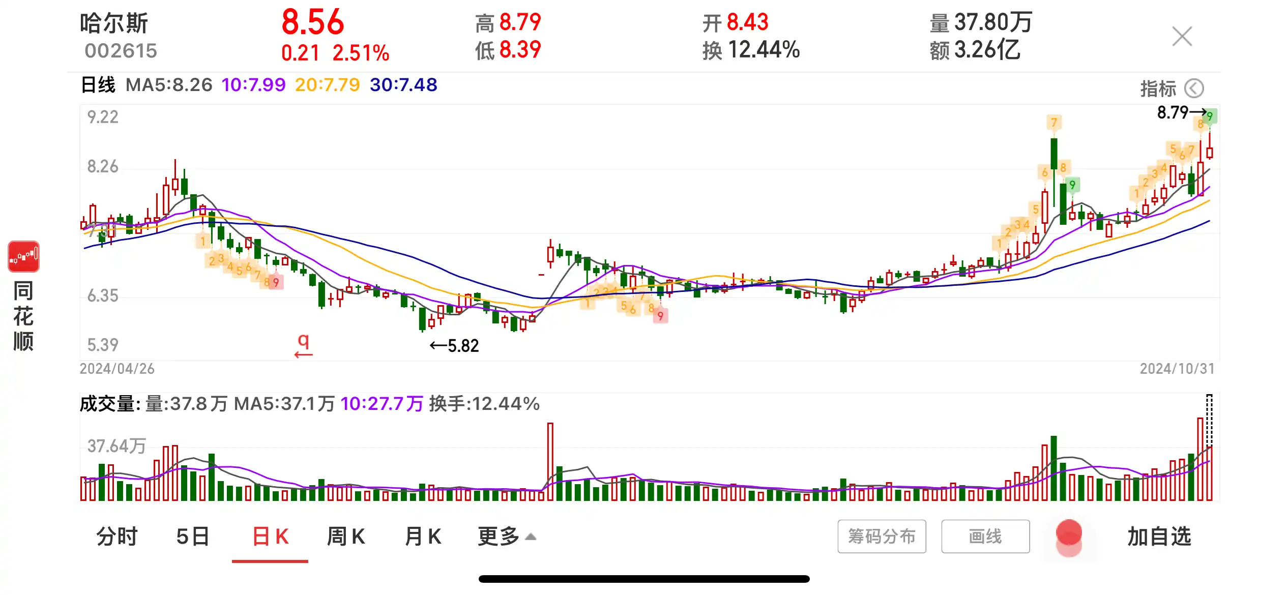 美国大选在即，全球资本市场的风向标